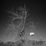 dailyPhoto34